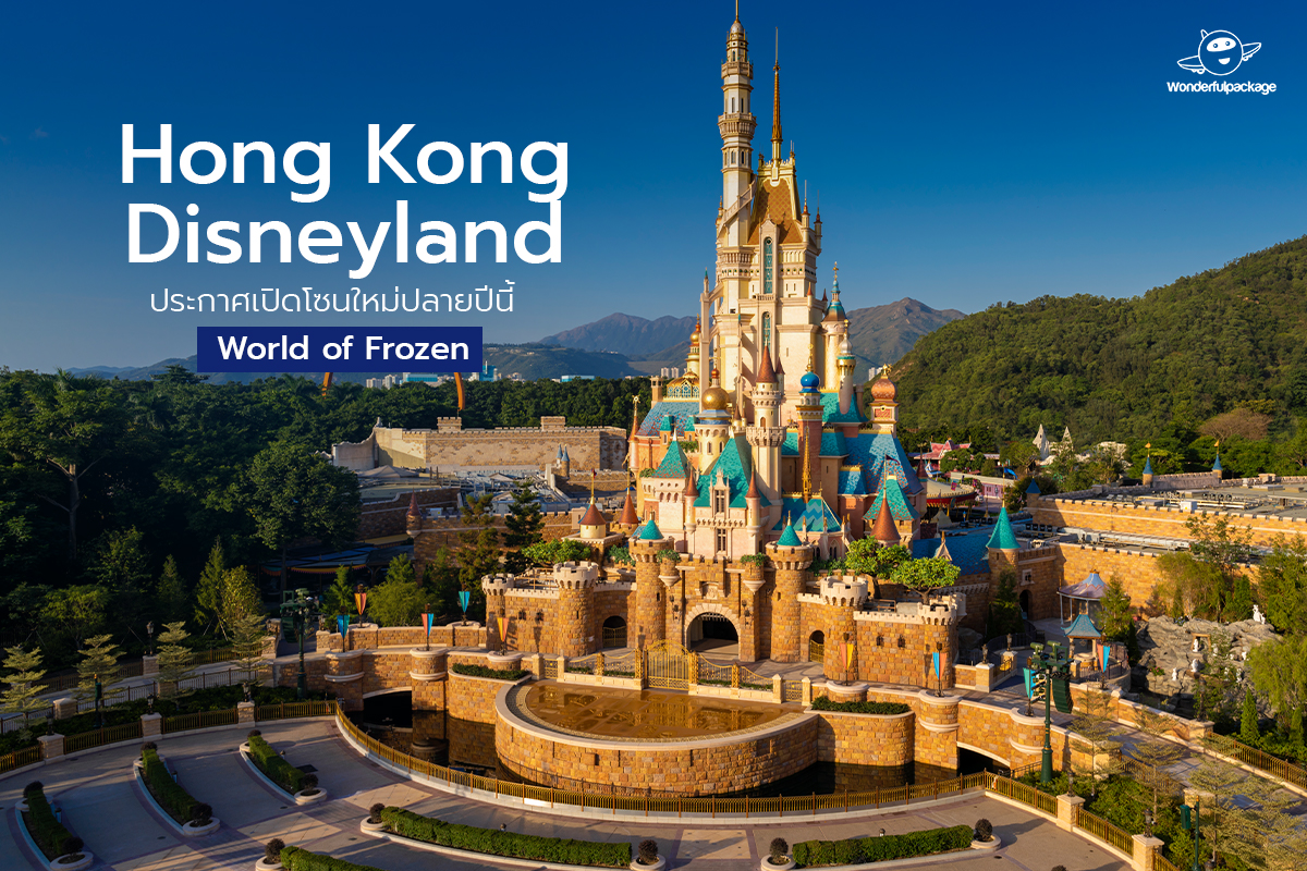 Olympic 2024 Schedule Hong Kong Aimil Auberta
